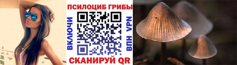 маркетплейс официальный сайт  где найти   Вязники  Галлюциногенные грибы Magic Shrooms 
