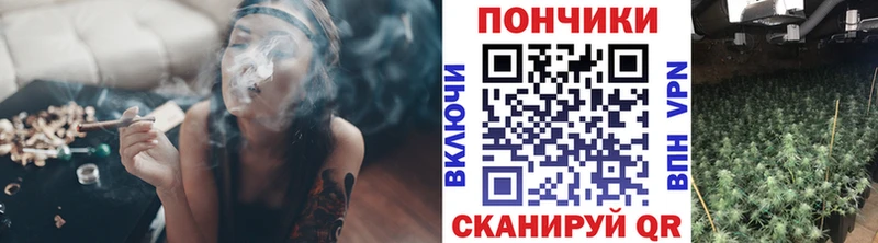 закладка  Вязники  Шишки марихуана сатива 